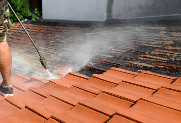 Best Local Pressure Washing Services  in Saddlebrooke, AZ